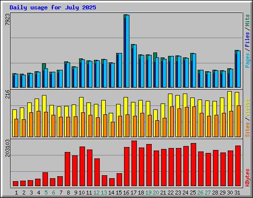 Daily usage for July 2025