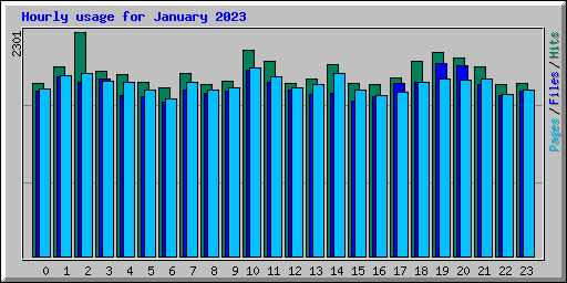 Hourly usage for January 2023