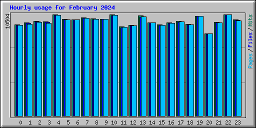 Hourly usage for February 2024
