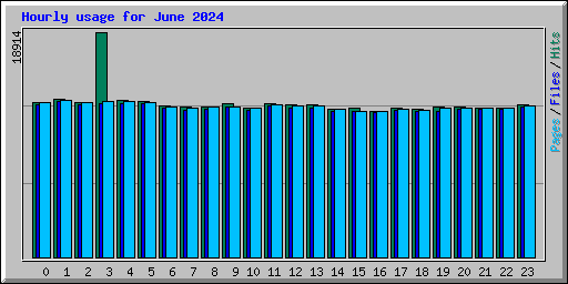 Hourly usage for June 2024