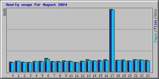 Hourly usage for August 2024