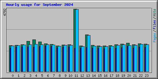 Hourly usage for September 2024
