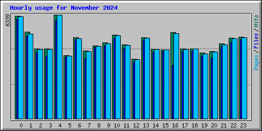 Hourly usage for November 2024
