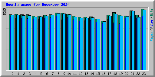 Hourly usage for December 2024