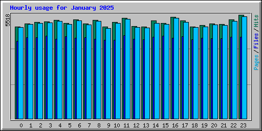 Hourly usage for January 2025
