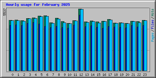 Hourly usage for February 2025
