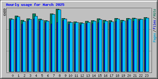 Hourly usage for March 2025