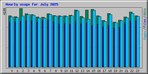 Hourly usage for July 2025