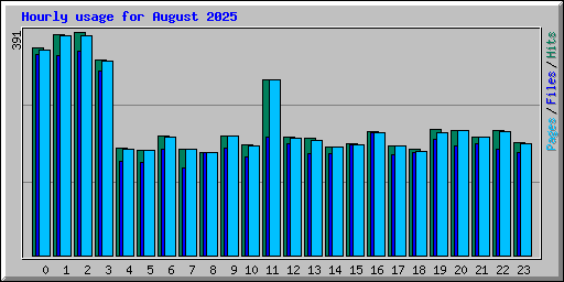 Hourly usage for August 2025