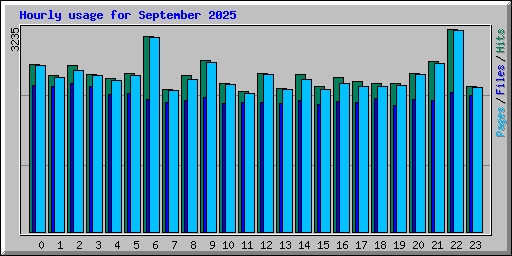 Hourly usage for September 2025