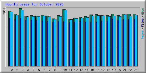 Hourly usage for October 2025