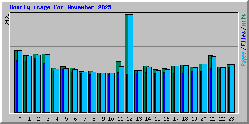 Hourly usage for November 2025