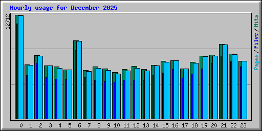 Hourly usage for December 2025