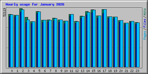 Hourly usage for January 2026