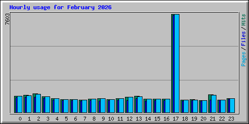 Hourly usage for February 2026