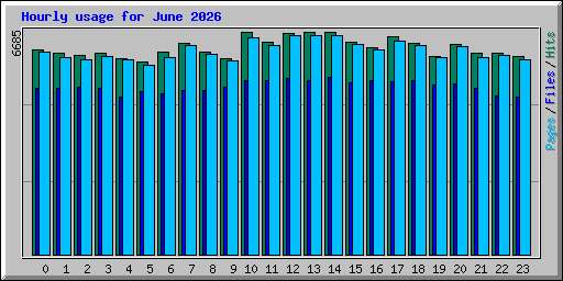 Hourly usage for June 2026